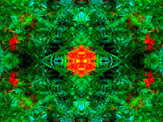 Similar image 21249174