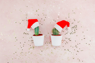 Similar image 21230249