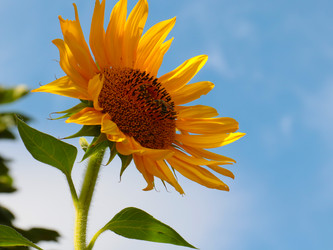 Similar image 21205417