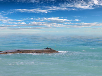 Similar image 21219933