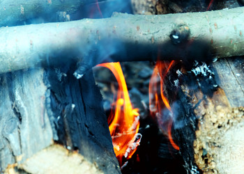 Similar image 21219936