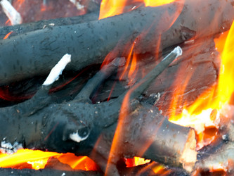 Similar image 21224530