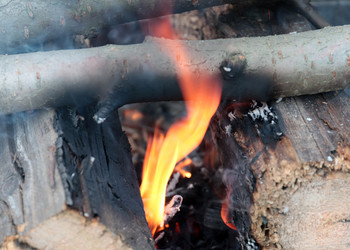 Similar image 21205419