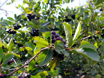 Similar image 21234633