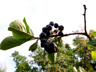 Similar image 21234636