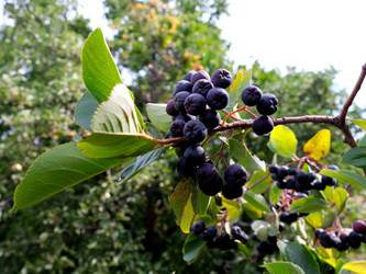 Similar image 21234638