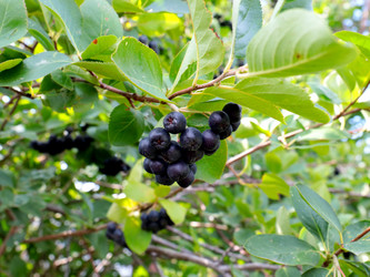 Similar image 21234640