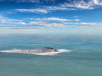 Similar image 21234677