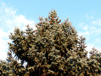 Similar image 21205421