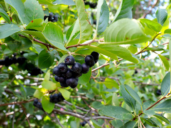 Similar image 21236848