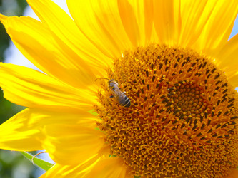 Similar image 21236851