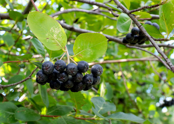 Similar image 21236852