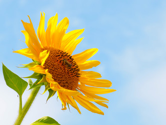 Similar image 21241850