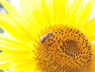 Similar image 21205423