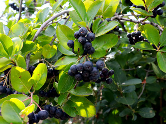 Similar image 21241852