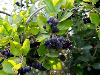 Similar image 21241853