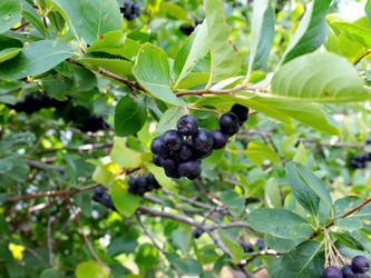 Similar image 21241854