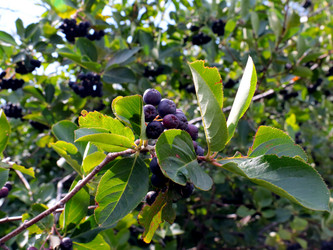 Similar image 21241856