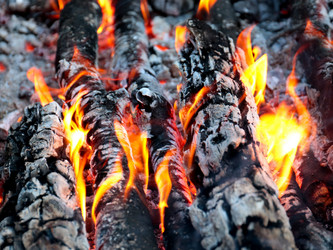 Similar image 21241857