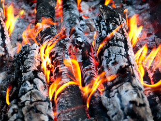 Similar image 21241858