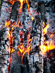 Similar image 21241860