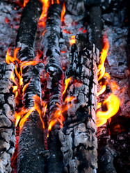 Similar image 21241861