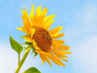 Similar image 21241877