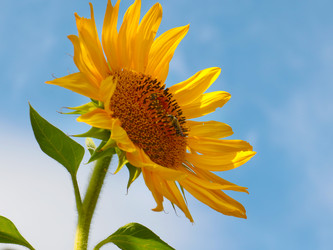 Similar image 21241879