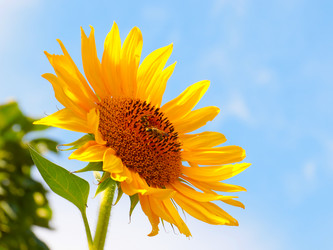 Similar image 21241880