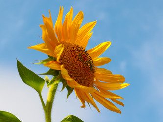 Similar image 21241881