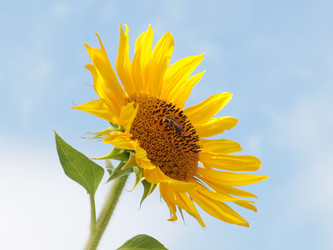 Similar image 21244557