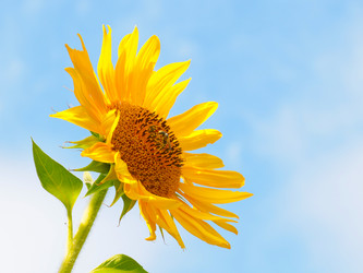 Similar image 21244558