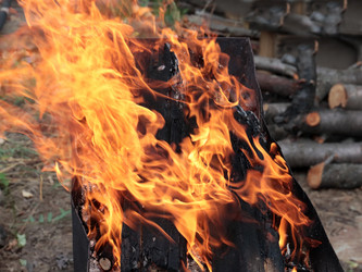 Similar image 21244562