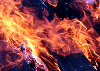 Similar image 21244565