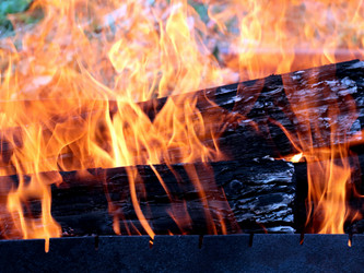 Similar image 21219937