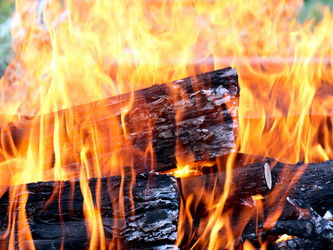 Similar image 21219938