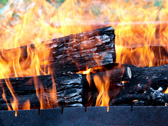 Similar image 21205424