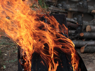 Similar image 21219941