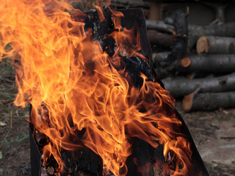 Similar image 21219942