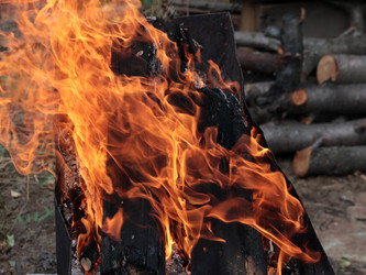 Similar image 21219944