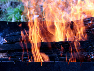 Similar image 21219948