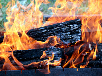 Similar image 21219949