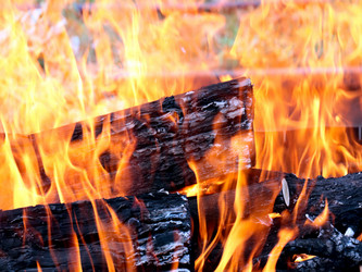 Similar image 21219952