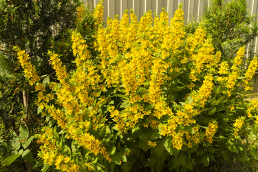 Similar image 21218685