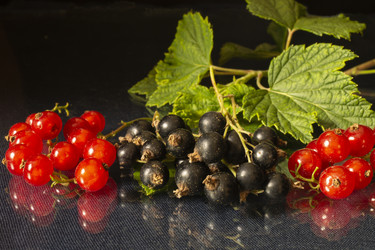 Similar image 21218693