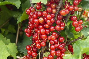 Similar image 21218697