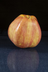 Similar image 21218698