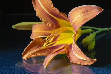 Similar image 21218699