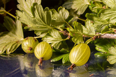 Similar image 21218701