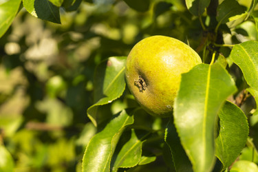 Similar image 21218706